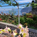 Domus San Vincenzo Frühstückspension 3*