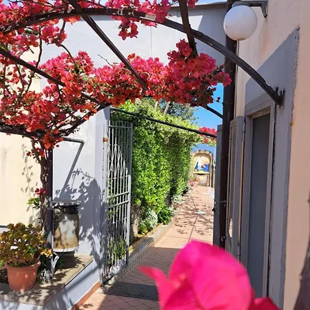 Bed & Breakfast Domus San Vincenzo 3*