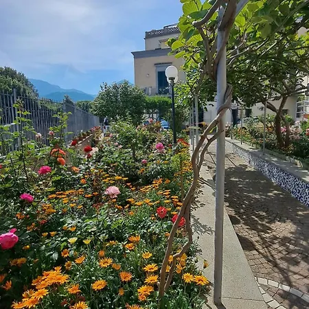 Domus San Vincenzo Frühstückspension
