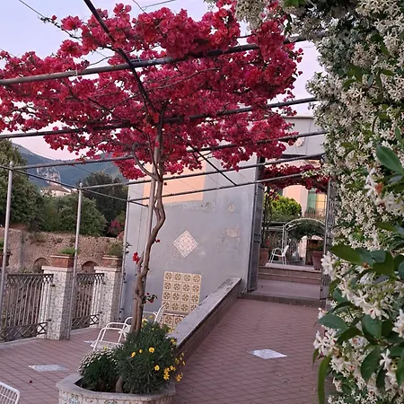 Domus San Vincenzo Bed & Breakfast