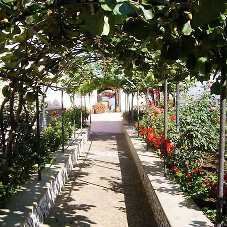 Frühstückspension Domus San Vincenzo Sant'Agnello